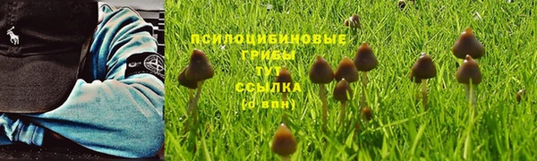 a pvp Алексин