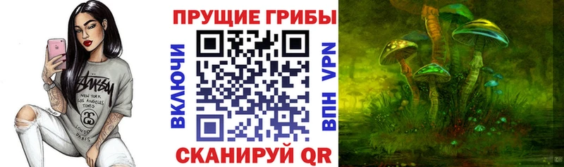цены   Цивильск  Галлюциногенные грибы Psilocybe 